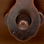 walnut