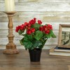 Northlight 11" Red Potted Silk Begonia Spring Artificial Floral Arrangement - 2 of 4