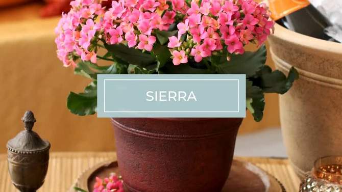 HC Companies SRA10001P02 Sierra 10 Inch Self Watering Round Weather Resistant Plastic Resin Flower Garden Planter Pot Container, Celtic Bronze, 2 of 8, play video