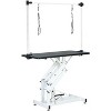 UbMelt 42.5 Inch Hydraulic Pet Grooming Table with Adjustable Height and Noose for Medium/Large Dogs - 4 of 4