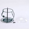 Birds Choice Hanging Seed Cylinder Bird Feeder: Acrylic & Metal, Weather-Resistant, No Assembly Required - 4 of 4