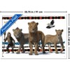 Trends International Disney Mufasa: The Lion King - Group Framed Wall Poster Prints - 3 of 4