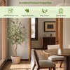 Artificial Olive Tree 4ft/5ft/6ft/ 7ft Tall Faux Potted Olive Silk Plant, Fake Olive Branches and Fruits Artificial Tree - 4 of 4