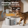 Oneisall PW03 Stainless Steel Cat Water Fountain – 3.5L/118oz, Quiet, Auto, w/3 Filters - 2 of 4