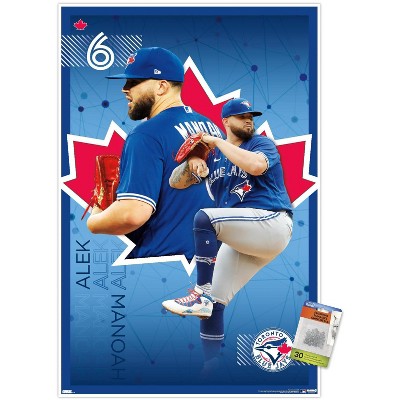 Trends International Mlb Toronto Blue Jays - Rogers Centre 22 Unframed Wall  Poster Print Clear Push Pins Bundle 14.725 X 22.375 : Target