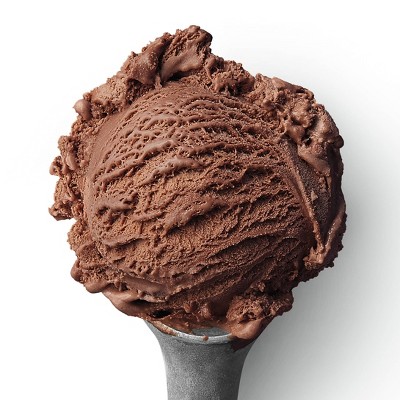 Frozen Chocolate Ice Cream - 48 fl oz - Favorite Day™