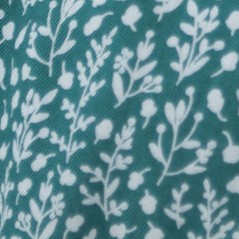shaded spruce