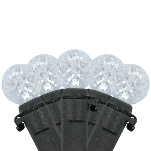 Northlight LED G12 Berry Christmas Lights - Pure White - 16' Black Wire - 50 ct - 1 of 4
