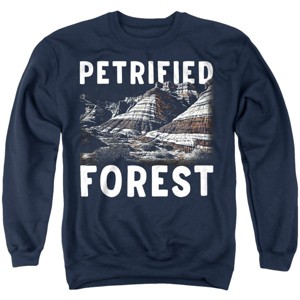 Men's Petrified Forest National Park Majestic Blue Mesa Crewneck Sweatshirt - 1 of 4