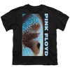 Boys' Short Sleeve Pink Floyd Meddle T-Shirt - 2 of 4