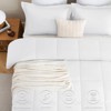 BAGOKIE 2/3 Pieces Comforter Set Box Stitched Bed Set for All Seasons - 4 of 4