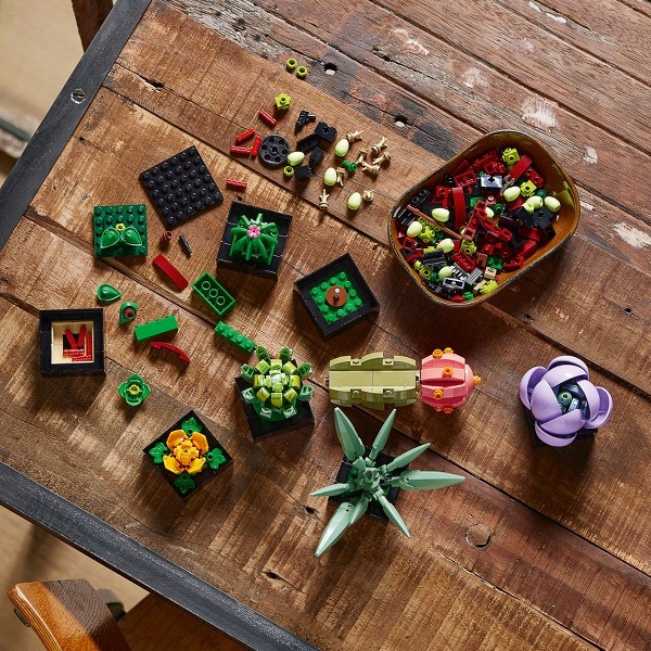 LEGO Icons Suculentas Plantas y Flores Set 10309 5