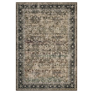 COZONY  Vintage Floral Area Rug, Non-Slip Washable Low Pile Carpet, Indoor Distressed Accent Floor Cover for Living Room and Bedroom - 1 of 4