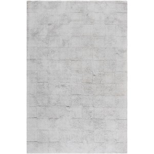 Easy Care ECR222 Machine Washable Hand Tufted Indoor Rugs - Safavieh - 1 of 4