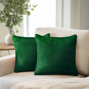 PAVILIA Set of 2 Throw Pillow Covers, Decorative Velvet Square Cushion Cases for Bed Sofa Couch Bedroom Living Room - 1 of 4