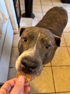 Guest review image 1 of 3, zoom in