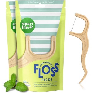 SmartLifeco Biodegradable Eco Dental Floss Picks | Mint Flavor (PACK OF 2 BAGS) Smart Life Co | Maintain your oral hygiene - 1 of 4