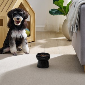Sam's Pets Tall Tulip 2.0 Pet Bowl in Glossy Black - 1 of 4