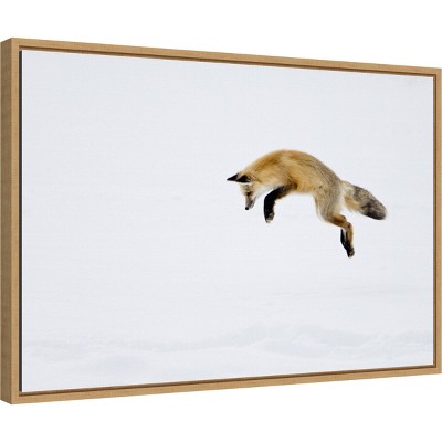 Maple Framed Red Fox in Snow Canvas Wall Art, 23" x 16"