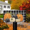 Briarwood Lane Checkered Pumpkins Autumn Large Mailbox Cover Than - 2 of 3