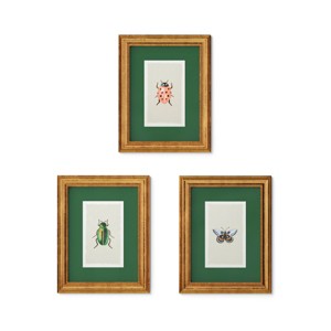 Rifle Paper Co. x Target 11"x14" Gold Foil Insect Poster Framed Wall Art Prints Set of 3: Nature Lithograph Bug Prints - 1 of 4