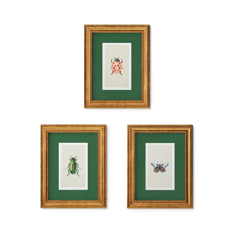 Rifle Paper Co. x Target 11&#34;x14&#34; Gold Foil Insect Poster Framed Wall Art Prints Set of 3, 1 of 7