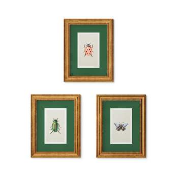 Rifle Paper Co. x Target 11"x14" Gold Foil Insect Poster Framed Wall Art Prints Set of 3