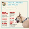 Country Brook Petz Premium Dog Collar - Animal Prints Collection - 2 of 4