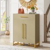 Tribesigns Shoe Cabinet with Doors, Modern Shoe Rack with Drawer - 4 of 4