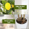 2 Pcs 4FT Potted Artificial Lemon Tree, 3D Realistic UV Resistant Artificial Plant, Suitable for Home Office,Indoor Outdoor - 3 of 4