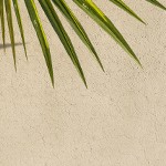 density encryption apricot