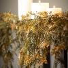 72" Sullivans Artificial Golden Weeping Cypress Fall Garland, Indoor Fall Decor - 3 of 3