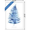 Trends International Jean Plout - Indigo Botanical Asoidium Angulare Framed Wall Poster Prints - 3 of 4