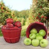 Cornucopia Brands Round Wood Baskets; Wooden Fruit Buckets w/ Handle for Farmers Market, Easter, Hostess Gift - 4 of 4