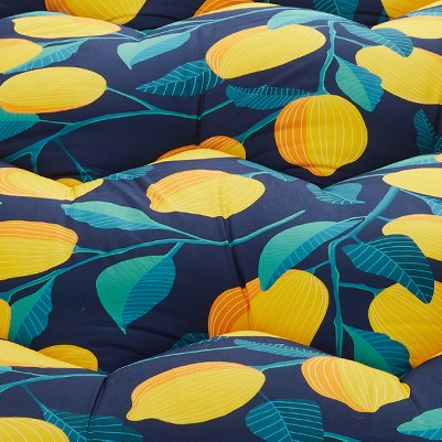 lemon-navy blue