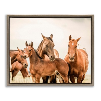 Stupell Industries Horse & Foals Photography, 21" x 17"