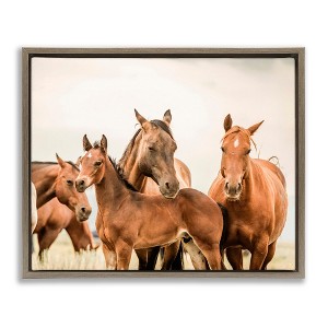 Stupell Industries Horse & Foals Photography, 21" x 17" - 1 of 4