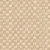 maize/brown