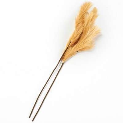 The Lakeside Collection Natural Hays and Grasses Home Accents - Natural Set of 2 Picks 2 Pieces
