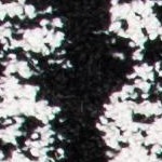 black/ivory