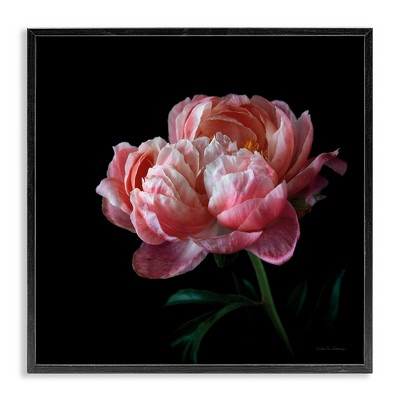 Stupell Industries Dark Rose Photography, 24" x 24"
