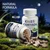 Alliwise Cortisol Supplements for Women and Men, with Magnesium, Ashwagandha, L-Theanine,Balanced Cortisol Levels for Mood,Focus - 60ct - 2 of 4