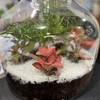 Organic Mechanics 2nd Sand Recycled Glass Terrarium, Planter & DIY Art Filler - 4 of 4