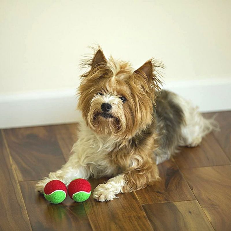 Midlee 1.5" Mini Squeaker Christmas Dog Tennis Balls - Red/Green Pack of 12, 5 of 9