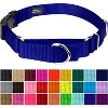 Country Brook Petz Heavy Duty Nylon Martingale Dog Collar with Deluxe Buckle - 30+ Vibrant Color Options - 2 of 4