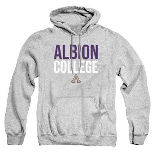 Albion College Official Stacked Adult Pull-Over Hoodie - 1 of 4