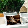 Stupell Industries Baron Whiskerton Cat Outdoor Decorative Throw Pillow, 14 x 20 - 3 of 3