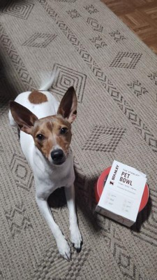 Guest review image 2 of 2, zoom in