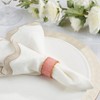 Saro Lifestyle Resin Artistry Napkin Ring (Set of 4) - 3 of 3