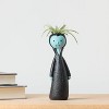 Halloween It's Giving Ghoul Vampire Live Houseplant - Good Little Garden™ - 4 of 4